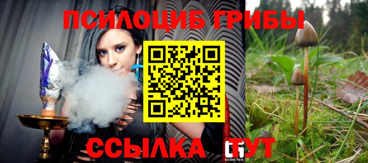 Галлюциногенные грибы MAGIC MUSHROOMS Грозный